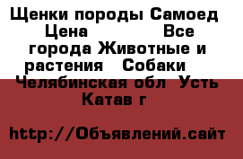 Щенки породы Самоед › Цена ­ 20 000 - Все города Животные и растения » Собаки   . Челябинская обл.,Усть-Катав г.